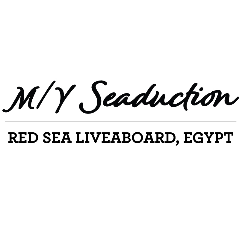 M/Y SEADUCTION RED SEA LIVEABOARD