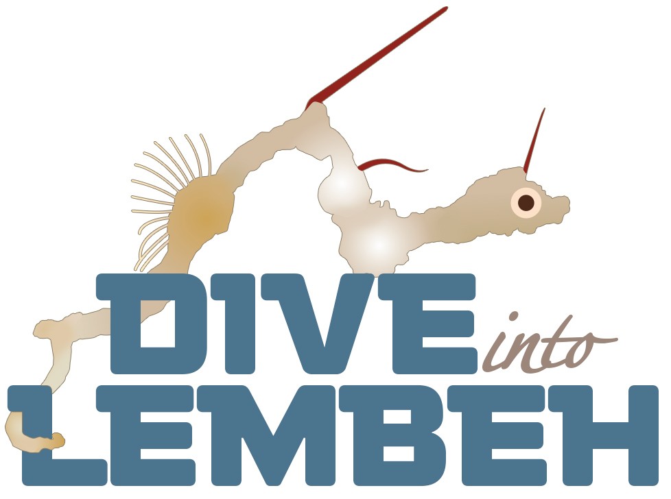 Dive Into Lembeh Logo